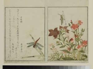 Gärten Der Welt Insektenbuch Kitagawa Utamaro 1788 ©Museum AsiatischeKunst